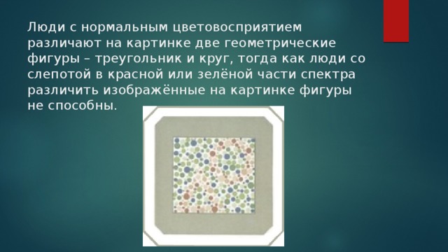 Люди с нормальным цветовосприятием различают на картинке две геометрические фигуры – треугольник и круг, тогда как люди со слепотой в красной или зелёной части спектра различить изображённые на картинке фигуры не способны.   