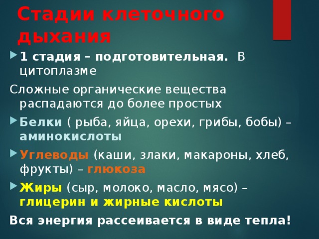 Стадии клеточного дыхания 1 стадия – подготовительная. В цитоплазме Сложные органические вещества распадаются до более простых Белки ( рыба, яйца, орехи, грибы, бобы) – аминокислоты Углеводы (каши, злаки, макароны, хлеб, фрукты) – глюкоза Жиры (сыр, молоко, масло, мясо) – глицерин и жирные кислоты Вся энергия рассеивается в виде тепла! 