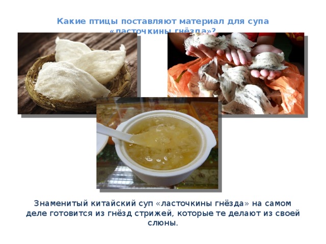 Какие птицы поставляют материал для супа «ласточкины гнёзда»? Знаменитый китайский суп «ласточкины гнёзда» на самом деле готовится из гнёзд стрижей, которые те делают из своей слюны. 