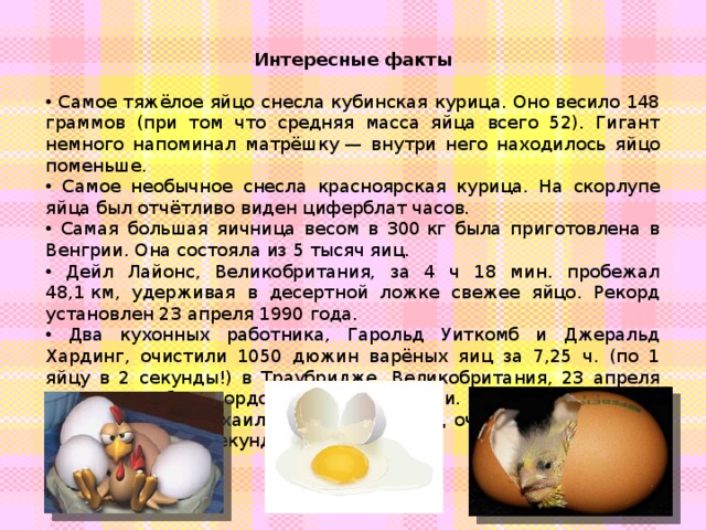 Интересные факты  Самое тяжёлое яйцо снесла кубинская курица. Оно весило 148 граммов (при том что средняя масса яйца всего 52). Гигант немного напоминал матрёшку — внутри него находилось яйцо поменьше.  Самое необычное снесла красноярская курица. На скорлупе яйца был отчётливо виден циферблат часов.  Самая большая яичница весом в 300 кг была приготовлена в Венгрии. Она состояла из 5 тысяч яиц.  Дейл Лайонс, Великобритания, за 4 ч 18 мин. пробежал 48,1 км, удерживая в десертной ложке свежее яйцо. Рекорд установлен 23 апреля 1990 года.  Два кухонных работника, Гарольд Уиткомб и Джеральд Хардинг, очистили 1050 дюжин варёных яиц за 7,25 ч. (по 1 яйцу в 2 секунды!) в Траубридже, Великобритания, 23 апреля 1971 года. Оба рекордсмена были слепыми.  Максименков Михаил установил рекорд очистки яиц, очистив одно яйцо за 1,5 секунды. 