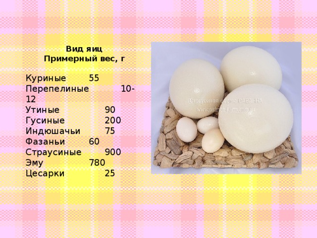 Сколько грамм в сыром яйце. Вес куриного и перепелиного яйца. Куриные и перепелиные яйца. Размер перепелиного яйца. Яйцо полезные вещества.