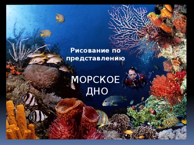 Рисование по представлению МОРСКОЕ  ДНО 