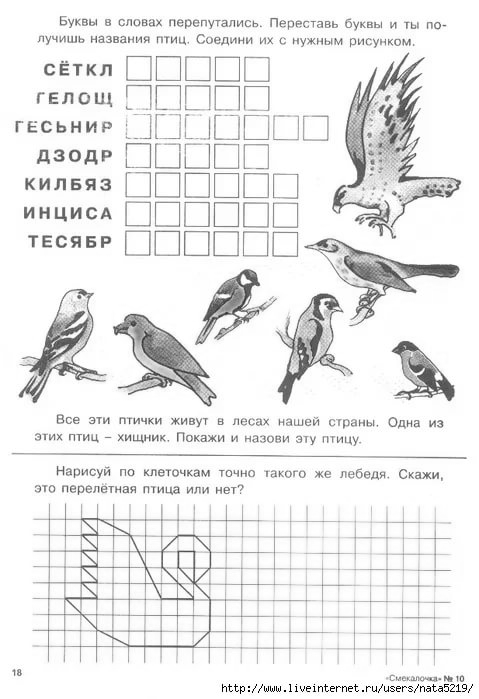 Зимующие птицы задания 1 класс. Задания перелетные птицы 1 класс. Задания перелетные и зимующие птицы 1 класс. Птицы задания для дошкольников. Задания по математике с птицами для дошкольников.