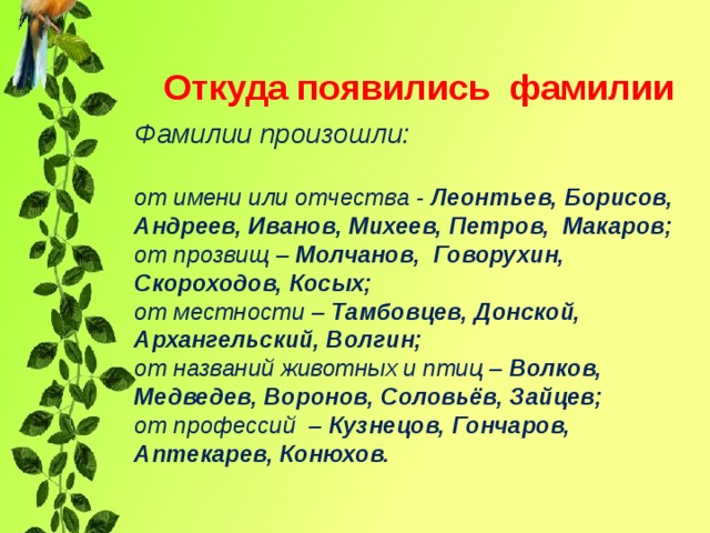  Откуда появились фамилии      Фамилии произошли: от имени или отчества - Леонтьев, Борисов, Андреев, Иванов, Михеев, Петров, Макаров;  от прозвищ – Молчанов, Говорухин, Скороходов, Косых; от местности – Тамбовцев, Донской, Архангельский, Волгин; от названий животных и птиц – Волков, Медведев, Воронов, Соловьёв, Зайцев; от профессий – Кузнецов, Гончаров, Аптекарев, Конюхов.  