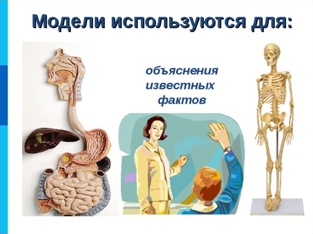 что воспроизводит натурная модель дома. img s925894 0 12. что воспроизводит натурная модель дома фото. что воспроизводит натурная модель дома-img s925894 0 12. картинка что воспроизводит натурная модель дома. картинка img s925894 0 12.