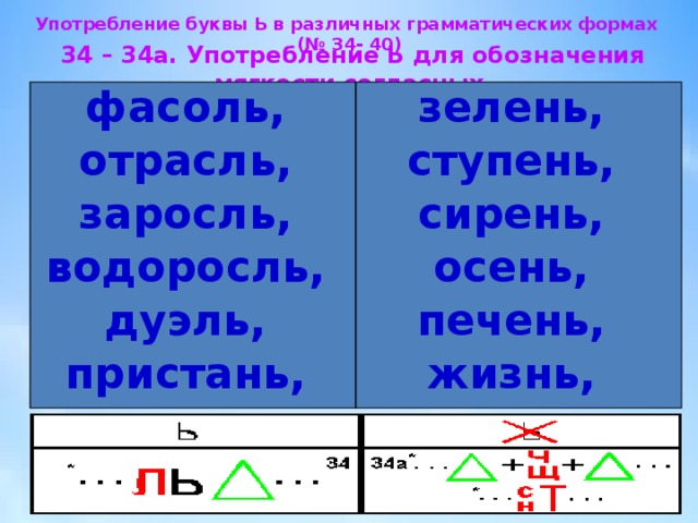 Ь в грамматических формах слов. Употребление ь для обозначения грамматических форм. Буква ь для обозначения мягкости. Сомнительные согласные.