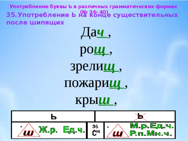 Р мн. Ь после шипящих на конце имен существительных родительного. Ь знак на конце существительных после шипящих во множественном числе. Употребление ь на конце сущ после шипящих. Употребление ъ на конце существительных после шипящих.