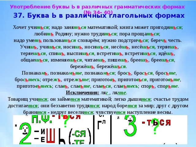 Ь в грамматических формах слов. Употребление букв. Употребление ь для обозначения грамматических форм. Употребление буквы ь в глагольных формах.