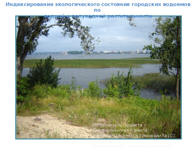 Индексирование экологического состояния городских водоемов по  водной и полуводной растительности   Исполнитель проекта – Джуварлинская Камила ученица 11А класса гимназии №102 г.Казань Руководитель - учитель гимназии Орлов О.И. 