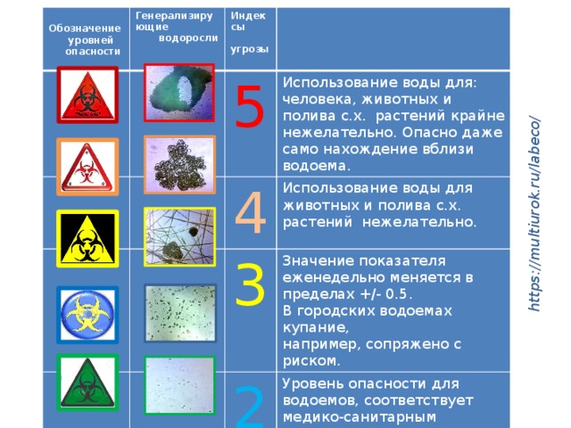 https://multiurok.ru/labeco/  Обозначение  уровней Генерализирующие Индексы  опасности  водоросли 5  угрозы Использование воды для: человека, животных и полива с.х. растений крайне нежелательно. Опасно даже само нахождение вблизи водоема. 4 3 Использование воды для животных и полива с.х. растений нежелательно. Значение показателя еженедельно меняется в пределах +/- 0.5. 2 1 В городских водоемах купание, Уровень опасности для водоемов, соответствует медико-санитарным показателям воды пригодной для купания и технических целей. Уровень значения показателей воды пригодной для бытовых целей. например, сопряжено с риском. 