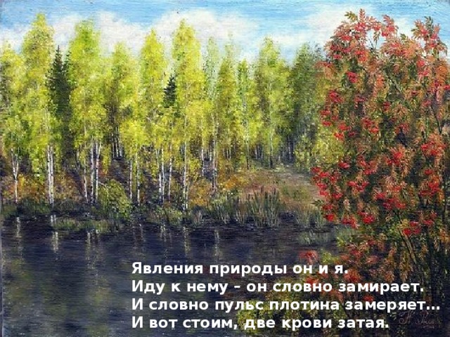 Явления природы он и я. Иду к нему – он словно замирает. И словно пульс плотина замеряет… И вот стоим, две крови затая. 