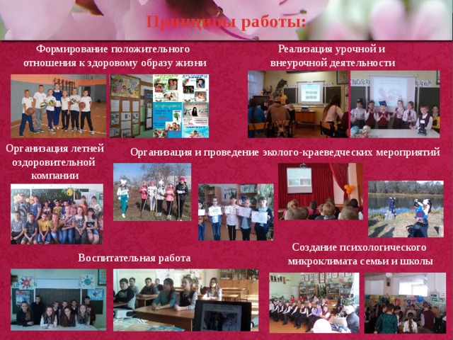 Принципы работы: Реализация урочной и Формирование положительного внеурочной деятельности  отношения к здоровому образу жизни Организация летней оздоровительной компании Организация и проведение эколого-краеведческих мероприятий Создание психологического  микроклимата семьи и школы Воспитательная работа 