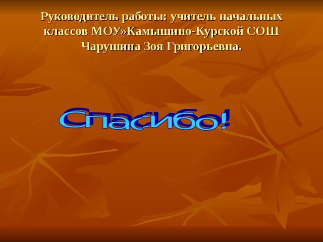 Руководитель работы: учитель начальных классов МОУ»Камышино-Курской СОШ  Чарушина Зоя Григорьевна. 