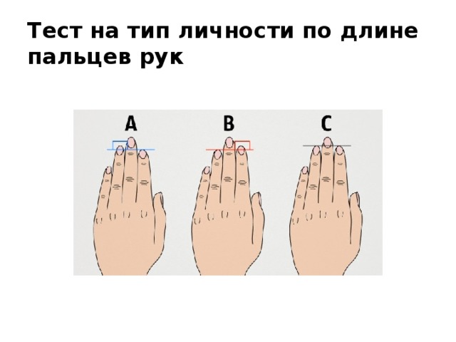 Тест на тип личности по длине пальцев рук 