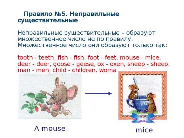 Форма множественного числа mouse. Fish множественное число. Fish множественное число правило. Fish во множественном числе на английском. Mouse множественное число.