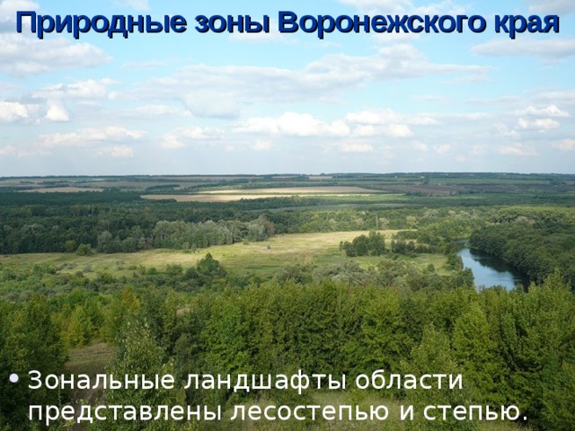 Природные зоны Воронежского края Зональные ландшафты области представлены лесостепью и степью. 