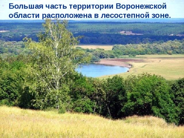 Большая часть территории Воронежской области расположена в лесостепной зоне. 