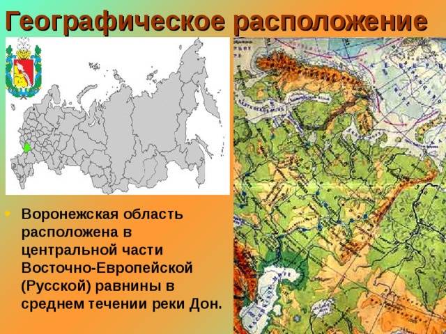 Географическое расположение Воронежская область расположена в центральной части Восточно-Европейской (Русской) равнины в среднем течении реки Дон. 