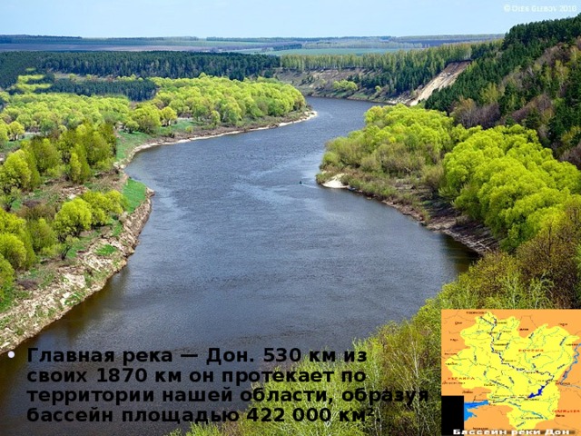 Главная река — Дон. 530 км из своих 1870 км он протекает по территории нашей области, образуя бассейн площадью 422 000 км². 