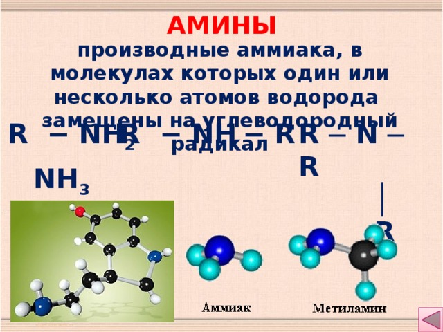 амины производные аммиака, в молекулах которых один или несколько атомов водорода замещены на углеводородный радикал R − NH 2 R − NH  − R R ─ N ─ R │  R NH 3 