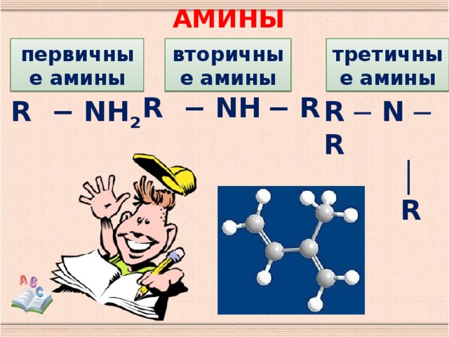 амины первичные амины вторичные амины третичные амины R − NH  − R R − NH 2 R ─ N ─ R │  R 