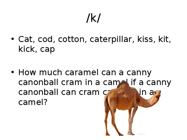 /k/ Cat, cod, cotton, caterpillar, kiss, kit, kick, cap How much caramel can a canny canonball cram in a camel if a canny canonball can cram caramel in a camel? 