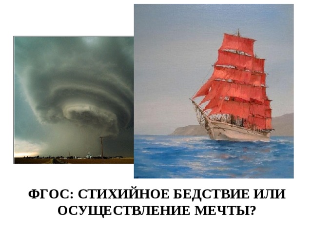   ФГОС: стихийное бедствие или осуществление мечты?  