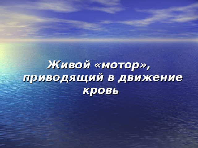 Живой «мотор», приводящий в движение кровь 