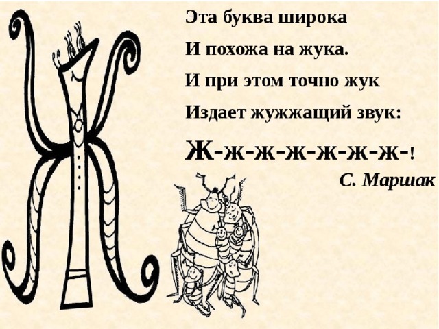 Родной буква. Эта буква широка и похожа на жука. На что похожа буква ж. Стих про букву ж. Буква ж на жука похоже.