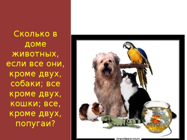 Сколько в доме животных, если все они, кроме двух, собаки; все кроме двух, кошки; все, кроме двух, попугаи? 