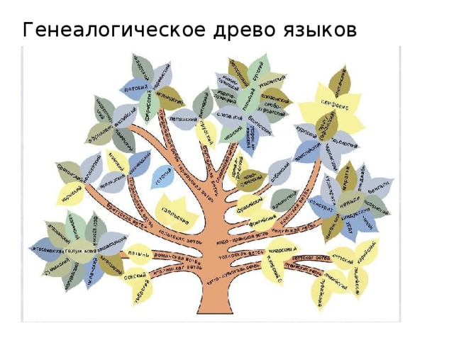 Генеалогическое древо языков 