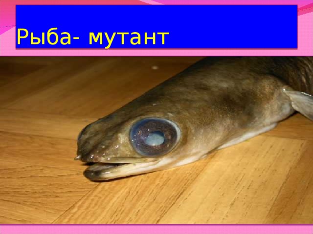 Рыба- мутант 