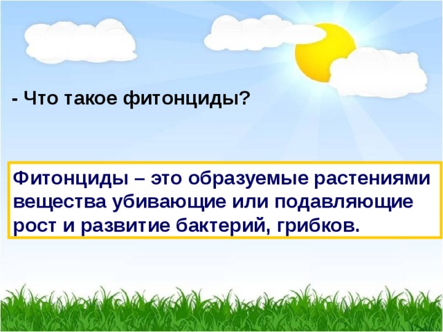 - Что такое фитонциды? Фитонциды – это образуемые растениями вещества убивающие или подавляющие рост и развитие бактерий, грибков. 