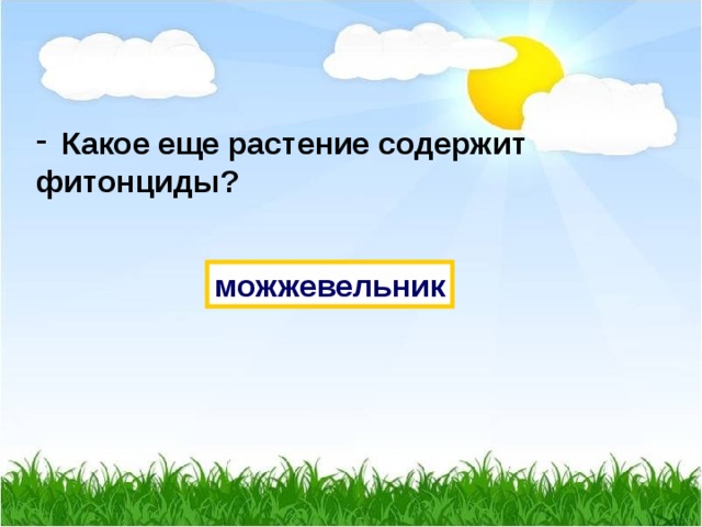  Какое еще растение содержит фитонциды? можжевельник 