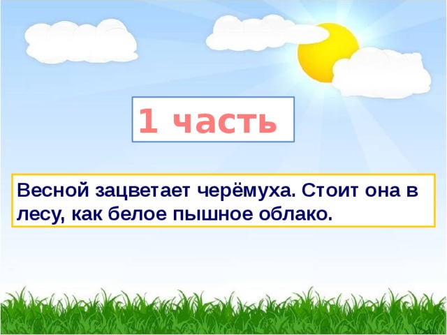 1 часть Весной зацветает черёмуха. Стоит она в лесу, как белое пышное облако. 