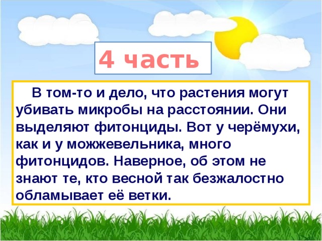 4 часть  В том-то и дело, что растения могут убивать микробы на расстоянии. Они выделяют фитонциды. Вот у черёмухи, как и у можжевельника, много фитонцидов. Наверное, об этом не знают те, кто весной так безжалостно обламывает её ветки.  