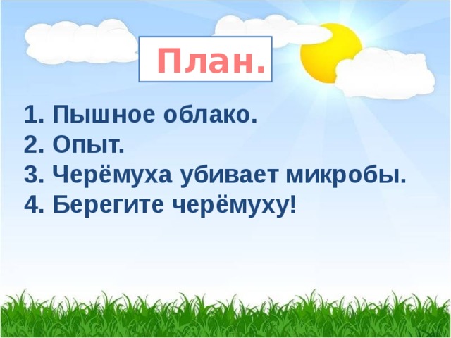  План. 1. Пышное облако. 2. Опыт. 3. Черёмуха убивает микробы. 4. Берегите черёмуху! 