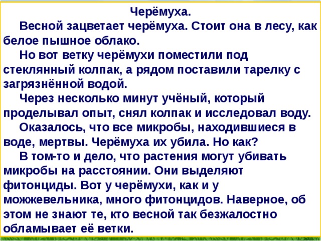Черёмуха.  Весной зацветает черёмуха. Стоит она в лесу, как белое пышное облако.  Но вот ветку черёмухи поместили под стеклянный колпак, а рядом поставили тарелку с загрязнённой водой.  Через несколько минут учёный, который проделывал опыт, снял колпак и исследовал воду.  Оказалось, что все микробы, находившиеся в воде, мертвы. Черёмуха их убила. Но как?  В том-то и дело, что растения могут убивать микробы на расстоянии. Они выделяют фитонциды. Вот у черёмухи, как и у можжевельника, много фитонцидов. Наверное, об этом не знают те, кто весной так безжалостно обламывает её ветки. 