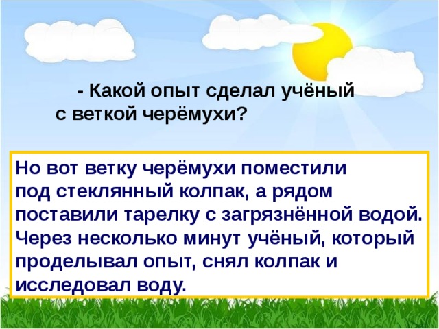  - Какой опыт сделал учёный с веткой черёмухи? Но вот ветку черёмухи поместили под стеклянный колпак, а рядом поставили тарелку с загрязнённой водой. Через несколько минут учёный, который проделывал опыт, снял колпак и исследовал воду. 