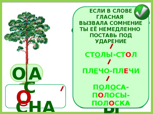 ЕСЛИ В СЛОВЕ ГЛАСНАЯ ВЫЗВАЛА СОМНЕНИЕ ТЫ ЕЁ НЕМЕДЛЕННО ПОСТАВЬ ПОД УДАРЕНИЕ  СТ О ЛЫ-СТ О Л  ПЛ Е ЧО-ПЛ Е ЧИ  П О Л О СА-П О ЛОСЫ-ПОЛ О СКА О А С СНА СОСНЫ О 