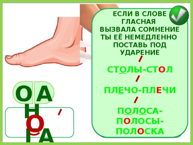 ЕСЛИ В СЛОВЕ ГЛАСНАЯ ВЫЗВАЛА СОМНЕНИЕ ТЫ ЕЁ НЕМЕДЛЕННО ПОСТАВЬ ПОД УДАРЕНИЕ  СТ О ЛЫ-СТ О Л  ПЛ Е ЧО-ПЛ Е ЧИ  П О Л О СА-П О ЛОСЫ-ПОЛ О СКА О А НОГИ О Н ГА 