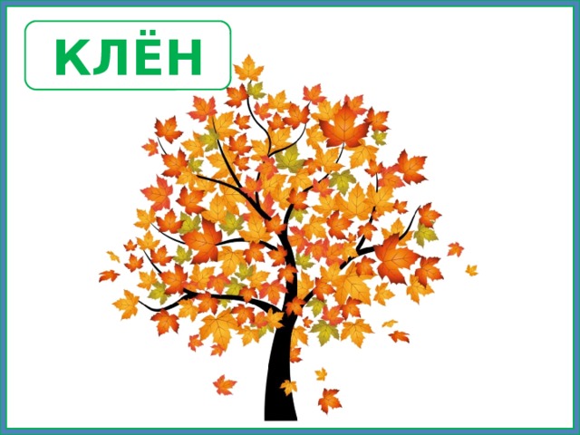 КЛЁН 