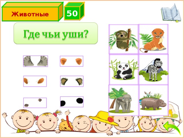 5 0 Животные 