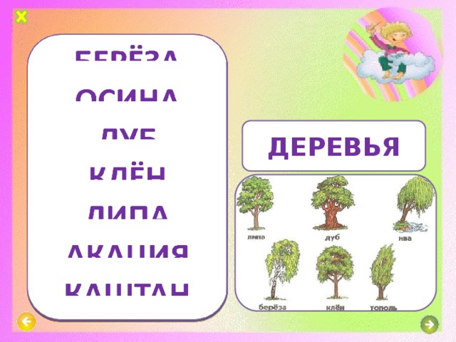 ДЕРЕВЬЯ 