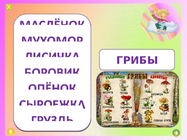 ГРИБЫ 