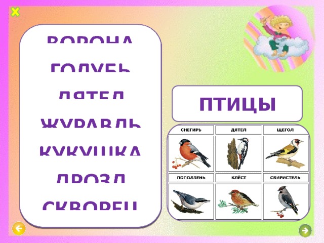 ПТИЦЫ 