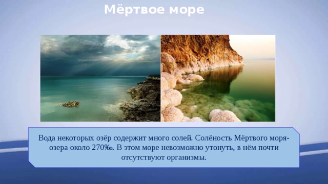 Мёртвое  море Вода некоторых озёр содержит много солей. Солёность Мёртвого моря-озера около 270 ‰. В этом море невозможно утонуть, в нём почти отсутствуют организмы. 