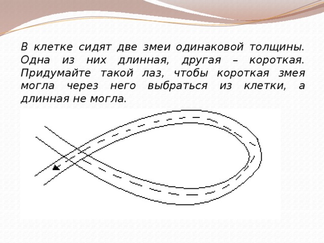 В клетке сидят две змеи одинаковой толщины. Одна из них длинная, другая – короткая. Придумайте такой лаз, чтобы короткая змея могла через него выбраться из клетки, а длинная не могла. 