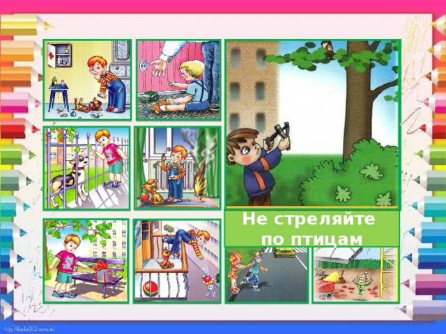 Не стреляйте по птицам 