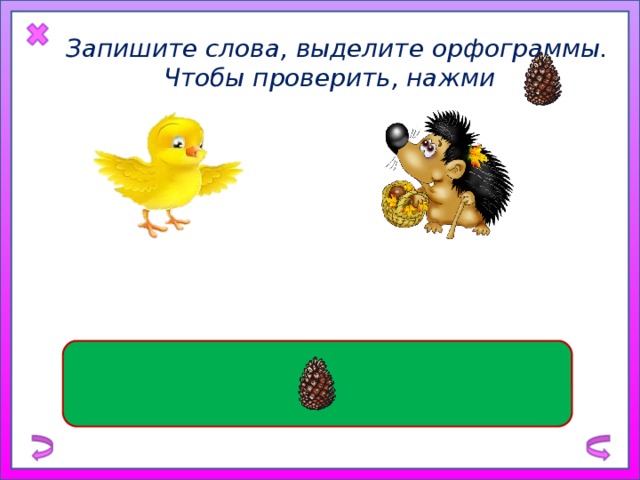 Запишите слова, выделите орфограммы. Чтобы проверить, нажми ж ё лтый ц ы пл е нок к о л ю чий ё ж и к 
